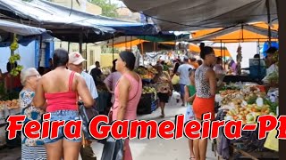 FEIRA LIVRE DE GAMELEIRA  PE Abril 2024 [upl. by Arrehs]