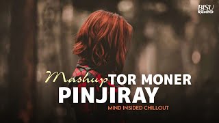 Tor Moner Pinjiray Mashup  Mind Insided Chillout  BISU REMIND [upl. by Hortensa939]