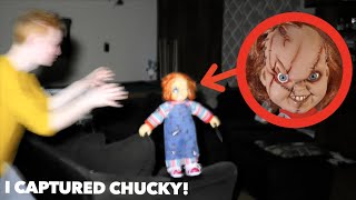 I CAPTURED CHUCKY IN REAL LIFE [upl. by Nivled]