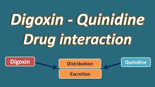 Digoxin and Quinidine drug interaction [upl. by Ardnua]