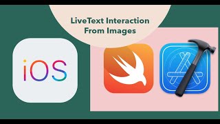 How to do LiveText Interaction from Images usign VisionKit in native iOS app [upl. by Nahseez]