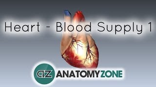 Blood supply to the heart  PART 1  Anatomy Tutorial [upl. by Rani]