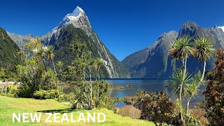 Unforgettable New Zealand Adventures Awaits travel viralvideo vlog [upl. by Vincenz]