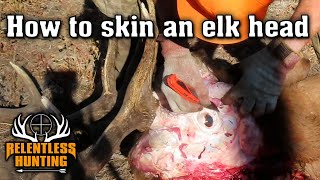 How to skin an elk head for a shoulder mount [upl. by Yvonner]