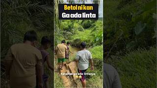 Takut linta 😭😭 ngakakak comedy funny ngakakabis fyp ketawabareng [upl. by Palumbo]