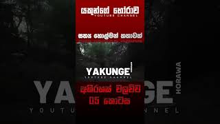 අභිරහස් වලව්ව 05 කොටස  sinhala holman katha sinhalaholmankatha horrortok viral foryou [upl. by Rolat]