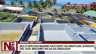 Multispecies Marine Hatchery sa Hinatuan Surigao del Sur magamit na sa dili madugay [upl. by Svensen761]