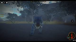 ThylacoleoMarsupial Lion Skull  Wild Bush Land [upl. by Aicargatla673]