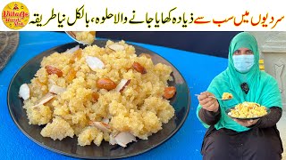 Everyones Favorite Halwa Recipe  Winter Special Halwa Recipe  Easy Recipe  Village Handi Roti [upl. by Holmun]