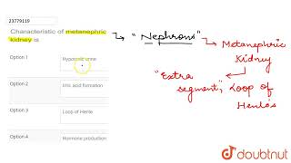 Characteristic of metanephric kidney is [upl. by Aihsemek]