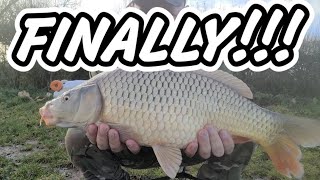 FINALLY CAUGHT AN AUTUMN CARP HSF PAULYS LAKE  CARP FISHING AUTUMN 2023 [upl. by Thurman736]