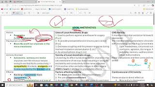 LOCAL ANESTHETICS  ANESTHESIA  5TH YEAR [upl. by Lladnarc]