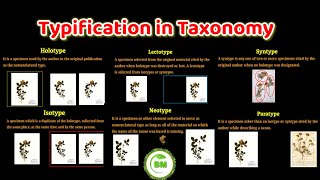 Typification in taxonomy  holotype Isotype Lectotype syntype neotype paratype  taxonomy [upl. by Myrtia]