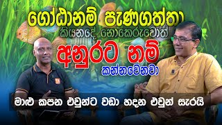 විසිතුරු මත්සය්‍ය උපදේශකගෙන් දැඩි ප්‍රකාශයක් wakkra [upl. by Eelanna]