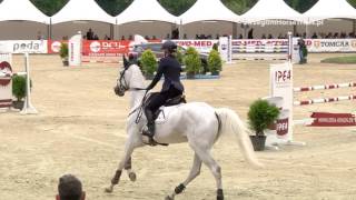 SHT2016  Stefano BRECCIAROLI  show jumping [upl. by Drugge]