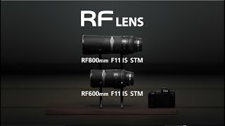 RF600mm F11 STM  RF800mm F11 STM 紹介動画【キヤノン公式】 [upl. by Dorkus]