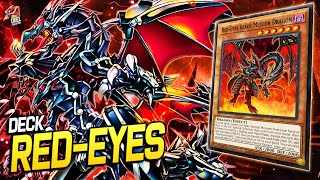 RedEyes 🐉 Replays 🎮  Decklist ✔️  EDOPRO [upl. by Karlyn]