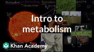 Introduction to metabolism anabolism and catabolism  Khan Academy [upl. by Teodoro568]