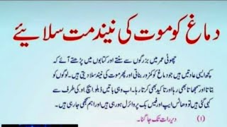 Dimagh  achi baatain  Urdu quotes [upl. by Dorn]