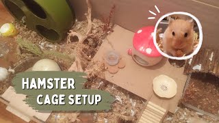 Setting up my Hamsters cage 🍄🍂  Hamster cage setup [upl. by Ylirama]