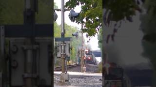 Trespasser almost hit by train [upl. by Nivej]