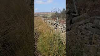 Darwen Moor travel punkatit lancashire darwen darwenmoor nature moor [upl. by Fen671]