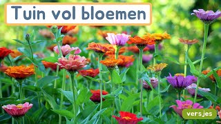 Tuin vol bloemen  Versjes  OKAN  NT2  Rijmpjes [upl. by Noelyn]