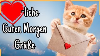 Süße Grüße  für einen tierisch tollen Tagesstart 🌞😻 [upl. by Nikal]