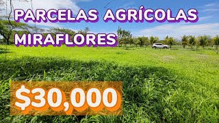 ¡Parcelas agrícolas en venta en San Miguel ¡invierte en vivir en armonía con la naturaleza 🌿🏞️💰 [upl. by Varrian]