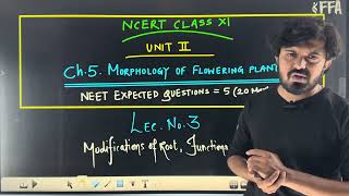 Modifications Of Roots  pneumatophores  functions of root  studentitheme neetug2024 biology [upl. by Moraj622]