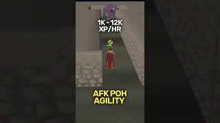 AFK Agility Methods OSRS [upl. by Notlew]