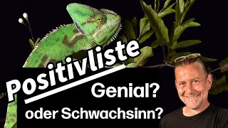 POSITIVLISTEN  Schwachsinn oder geniale Lösung [upl. by Eignav]