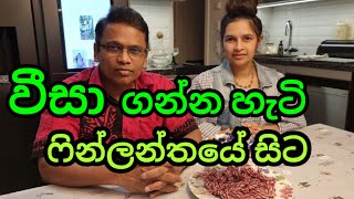 ෆින්ලන්තය ගැන හිරුනිගේ ගෙදර සිට ප්‍රශ්න සහ පිලිතුරු [upl. by Nenney]