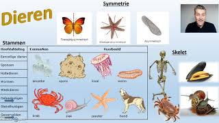 Ordening biologie  3 van 3 Biodam  Planten en dieren [upl. by Esac]