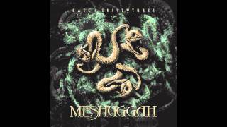 Meshuggah  In Death Is LifeDeath [upl. by Arihsaj]