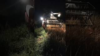 paddy harvesting at night kobota paddy harvesting machineyoutube shorts shorts video harvesting [upl. by Eceirehs308]