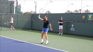 federer rally and attack winner [upl. by Asemaj]