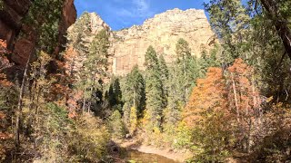 Fall Colors  Oak Creek Trail Sedona Arizona [upl. by Noirod562]