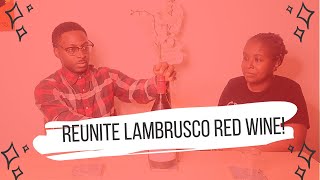 Riunite Lambrusco Red Wine [upl. by Hirsch421]