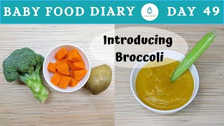 Baby Food  Baby Food Diary  Day 49  Broccoli Baby Food Recipe  How To Prepare Broccoli For Baby [upl. by Diraf693]