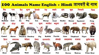 50 Water Animal Names in Hindi and english with picture Aquatic and Marine Animal Name List [upl. by Patti]