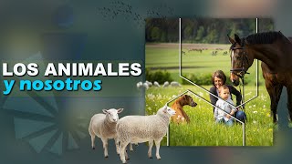 LOS ANIMALES Y NOSOTROS [upl. by Iramo]