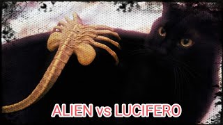 ALIEN vs LUCIFERO  Short Film  Bombay Cat Black Cat 4K [upl. by Barbi769]