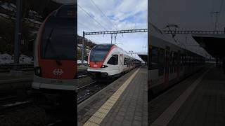 RABe 521 014 SBB S1 nach Frick in SteinSäckingen sbb cff ffs sbahn trainspotting shorts yt [upl. by Markiv271]