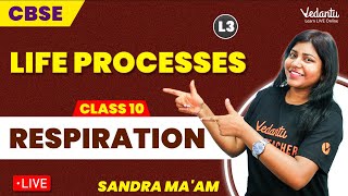 Life Processes L3 Respiration  Class 10 CBSE  Sandra Maam🎓📚 [upl. by Camm861]