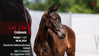 Auktionsfestival Lot 214 Craboom Hengst v Cornet Obolensky  Casall [upl. by Iona]