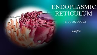 Endoplasmic reticulum in tamilCell Biology BscZoology Endoplasmic reticulum in tamilpartsfunction [upl. by Ahterod]