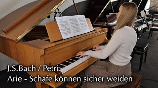 WHoffmann Flügel Langlau Modell M165  JS Bach  Petri  Schafe können sicher weiden [upl. by Ailecra612]