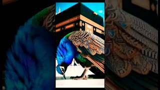 THE BIRDS ARE PROSTRATING TO ALLAH  ISLAMIC SHORTS  ISLAM ytshorts religion islam shortsfeed [upl. by Hein]