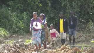 Passage du Bac à Mbindzo Ouesso Ouesso  Congo [upl. by Leonardi774]